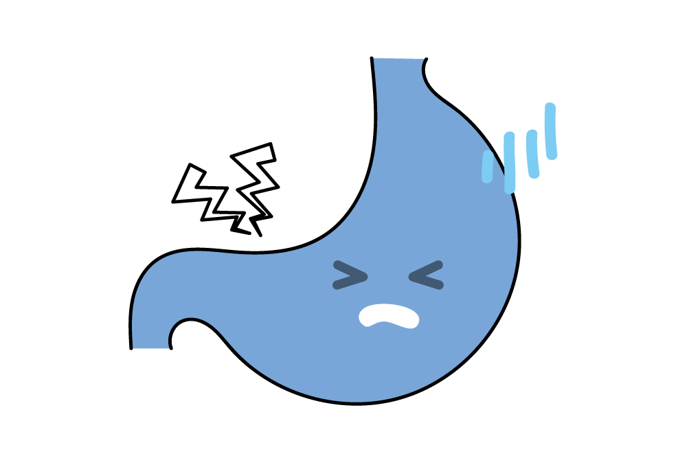 消化器のイラスト