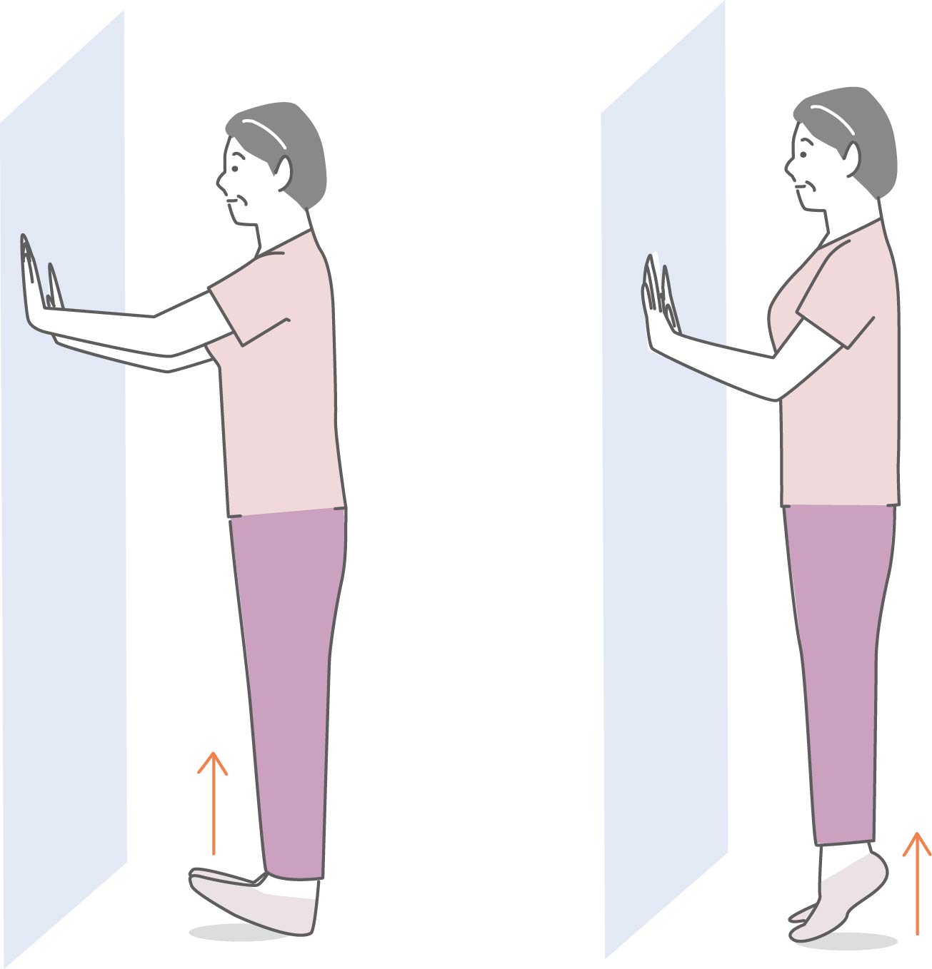 かかと・つま先の上げ下げを行う女性の画像