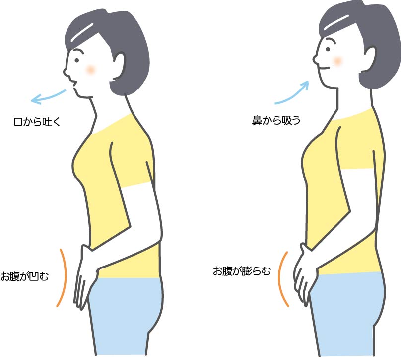 腹式呼吸をする女性の画像